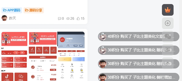 图片[2]- 子比主题美化,网站增加付费记录插件