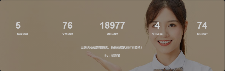 子比主题添加底部统计信息模块小工具