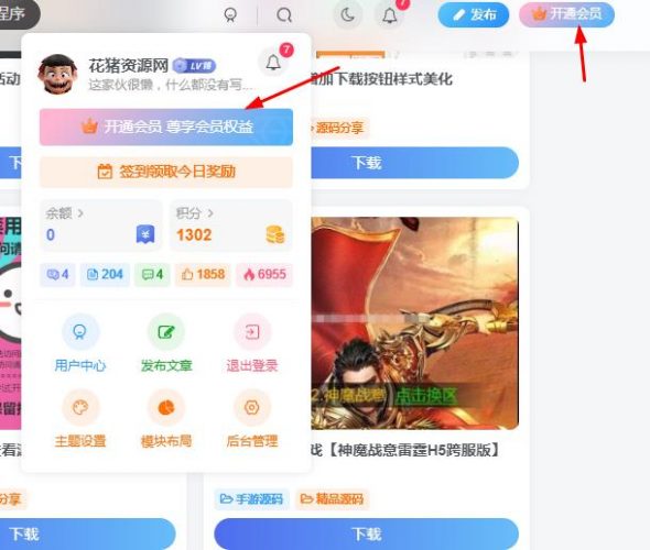 子比主题vip购买框颜色- 花猪资源网
