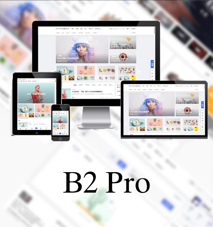 PRO主题5.4.2开心版