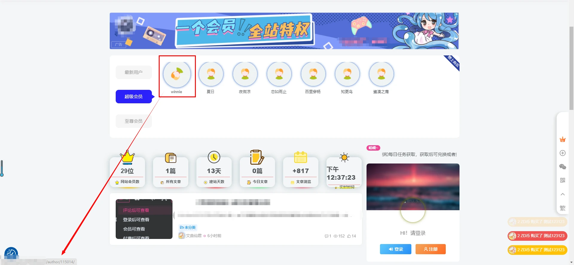 图片[2]- 子比主题首页会员小工具插件