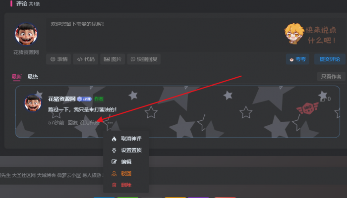子比主题添加私密评论- 花猪资源网