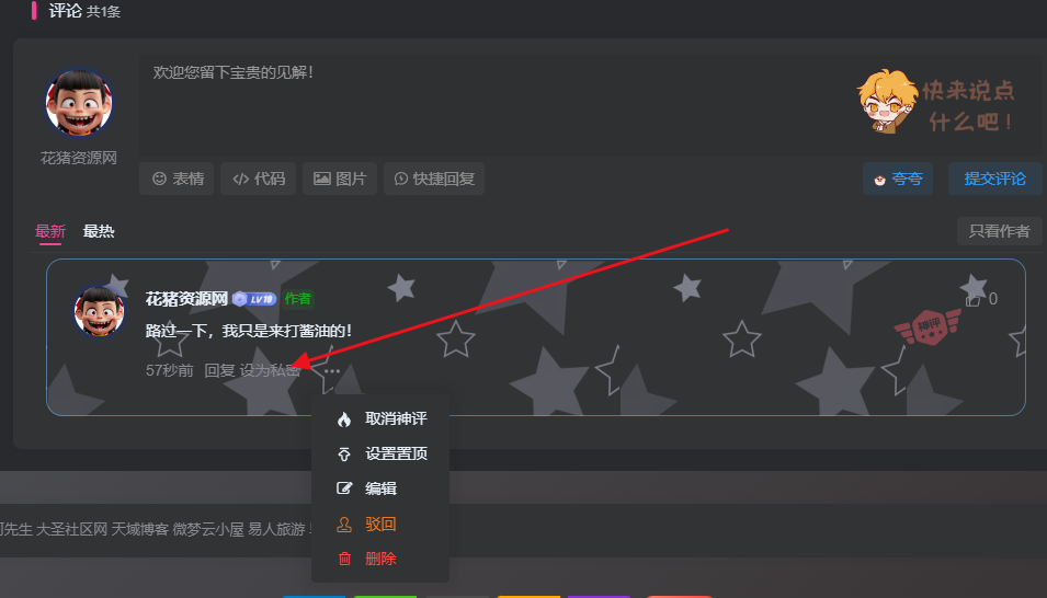 子比主题添加私密评论