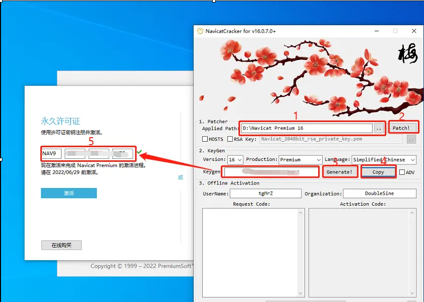图片[3]- Navicat Premium  下载